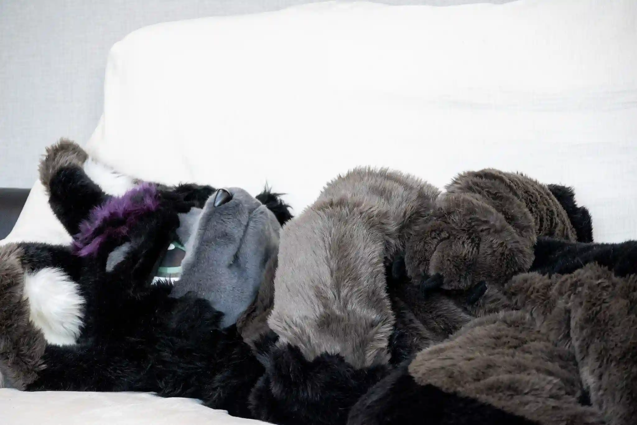 柔らかな光が差し込む室内で、行儀よくお座りをしている黒猫のミルナ